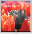 /album/photo-gallery-canvas-uri/decoratiuni-de-perete-canvas-lc-0455-jpg/